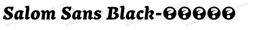 Salom Sans Black字体转换